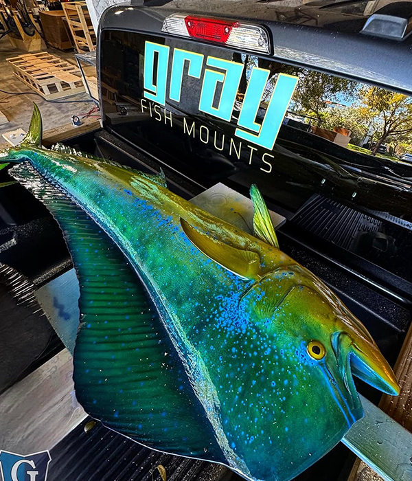 lobster charter fishing