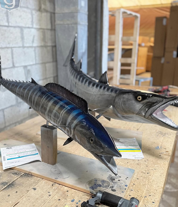 offshore charter fishing