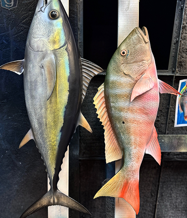 offshore charter fishing