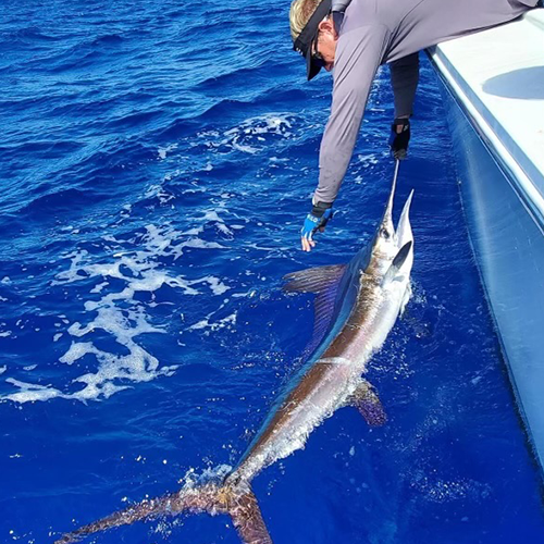 group of girls walking towards charter boat in st thomas