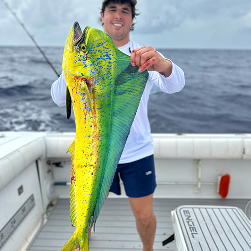people riding charter boat in st thomas uvi