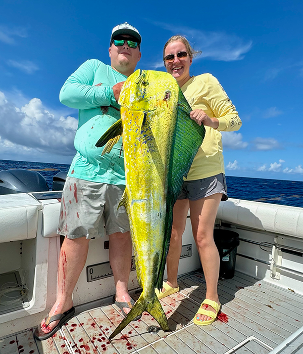 mahi charter fishing