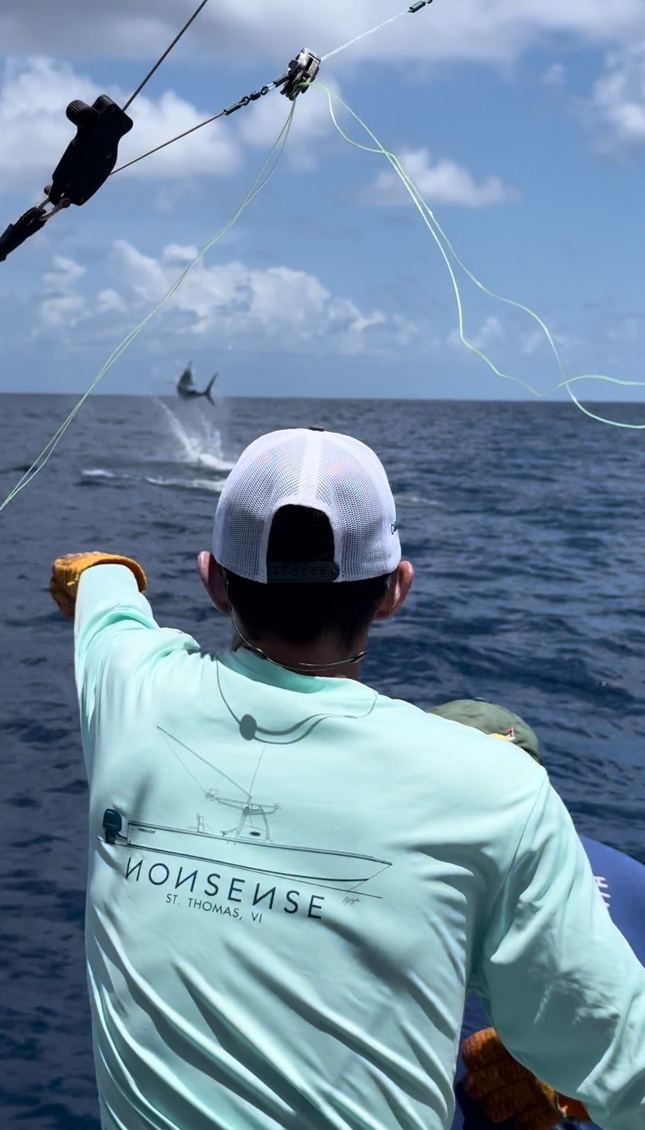 whale breaching water on offshore fishing charter